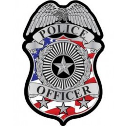 Naszywka termo amerykańska tarcza Police Officer z orłem - 5
