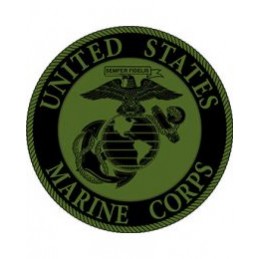 Naszywka termo USMC Logo Subdued - 3