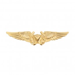 Odznaka Oficera Bezzałogowych Systemów Powietrznych (UAS) U.S. Marine Corps - 1