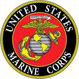 https://di-emem.eu/pl/us-marines/54-naszywka-termo-usmc-logo-slvgld.html