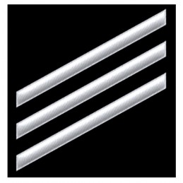 Special Warfare Operator (SO) Rating Badge White - 1