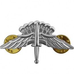 U.S. Military Free Fall Parachute (HALO Wings) Badge - 1
