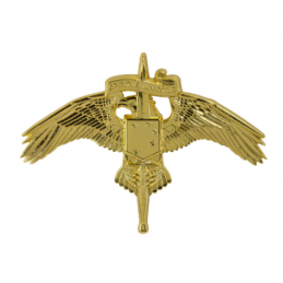 U.S. Marine Corps Special Operations Command MARSOC Badge - 1