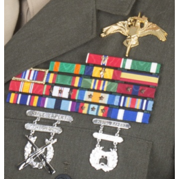 U.S. Marine Corps Special Operations Command MARSOC Badge - 2