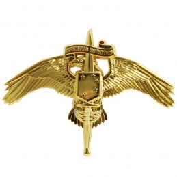 U.S. Marine Corps Special Operations Command MARSOC Badge - 3