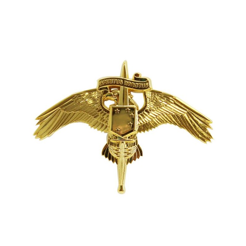 U.S. Marine Corps Special Operations Command MARSOC Badge - 3