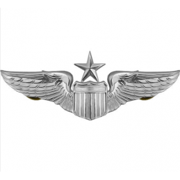 U.S. Air Force Senior Pilot insignia - 3