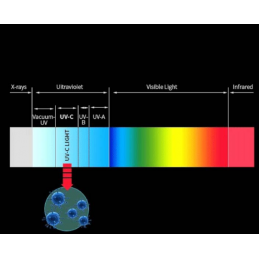 Sterylizator do akcesoriów UV-C LED z aromaterapią - 5